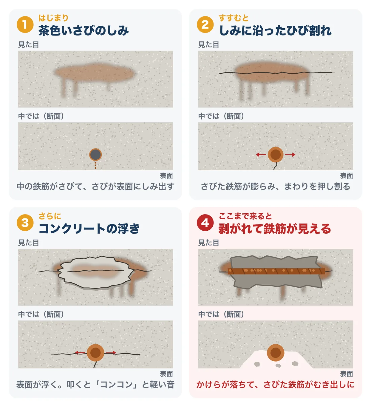 塩害（爆裂）の進み方を4段階で描いたイラスト。各段に表面の見た目と中の断面。1 はじまり：茶色いさびのしみ（中の鉄筋がさびて、さびが表面にしみ出す）。2 すすむと：しみに沿ったひび割れ（さびた鉄筋が膨らみ、まわりを押し割る）。3 さらに：コンクリートの浮き（表面が浮き、叩くとコンコンと軽い音）。4 ここまで来ると：剥がれて鉄筋が見える（かけらが落ちて、さびた鉄筋がむき出しに）